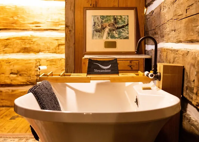 The Senator
